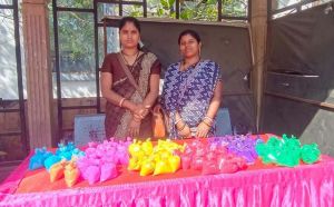  बिहान की दीदियों ने लगाया हर्बल गुलाल का स्टॉल