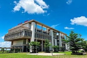  छत्तीसगढ़ के युवाओं के लिए सुनहरा अवसर: आईआईएम  में 'मुख्यमंत्री सुशासन फेलोशिप' के साथ एमबीए के लिए आवेदन शुरू