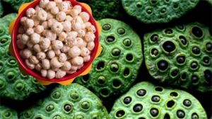  धमतरी को मखाना हब बनाने की दिशा में पहल 