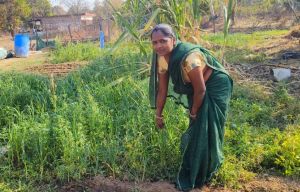  मजदूरी से मशरूम उत्पादन और अब स्वयं की दुकान से &lsquo;लखपति दीदी&rsquo; बनीं बृहस्पति धुर्वे