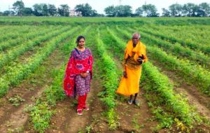  &lsquo;आत्मा&rsquo; योजना के तहत फार्म स्कूल से किसानों को मिली नई दिशा