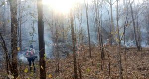  25 हजार हेक्टेयर क्षेत्र में &lsquo;फायर अलर्ट&rsquo; सिस्टम बना मजबूत सुरक्षा कवच