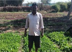  डबरी बनी स्थायी आजीविका का आधार