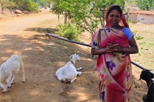   महतारी वंदन योजना से संवर रही पहाड़ी कोरवा परिवारों की तकदीर