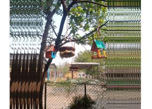 विद्यार्थियों ने पक्षियों के लिए बनाए घोंसले, संवेदनशील शिक्षा का दिया संदेश