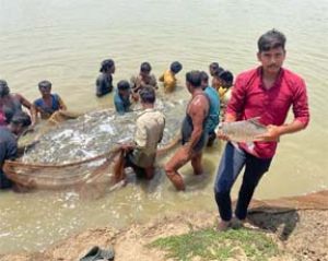  मत्स्य पालन से बदली तोषण ध्रुव की जिंदगी