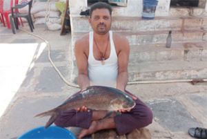  मछली पालन बना आत्मनिर्भरता का जरिया