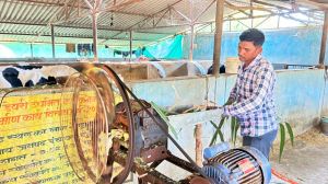  मजदूरी की बेड़ियां तोड़ 'मल्टी-फार्मिंग' के नायक बने ललित यादव