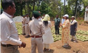  नारायणपुर :- नक्सल प्रभावित क्षेत्रों में विकास की रफ्तार तेज