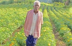  धान छोड़ फूलों की खेती ने बदली आनंदराम की तकदीर