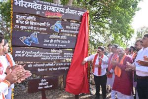 भोरमदेव जंगल सफारी: घने जंगलों के बीच रोमांच का नया सफर