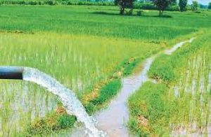 गेऊर व्यपवर्तन योजना के लिए 33.70 करोड़ रुपये स्वीकृत