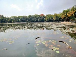   भेलवा तालाब में सफाई के बाद होगा जलभराव, निगम अधिकारियों ने किया निरीक्षण