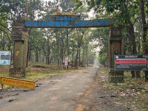  राज्य शासन ने कोटा-अचानकमार-केंवची मार्ग के लिए निविदा को दी मंजूरी, जल्द शुरू होगा काम 