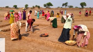 मनरेगा मजदूरी भुगतान में तेजी, 23.39 करोड़ राशि श्रमिकों के खातों में जमा मनरेगा मजदूरी भुगतान में तेजी, 23.39 करोड़ राशि श्रमिकों के खातों में जमा