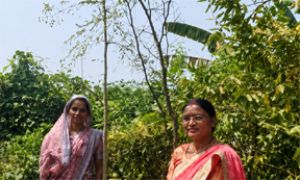 प्रोजेक्ट हर घर मुनगा अभियान से देवरी में पोषण जागरूकता को बढ़ावा