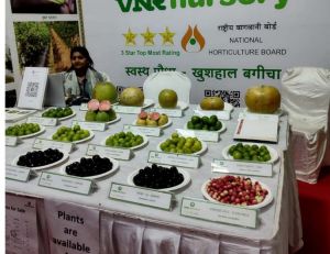  कृषि विश्वविद्यालय में अगले तीन दिनों तक बिखरेगी आमों की बहार