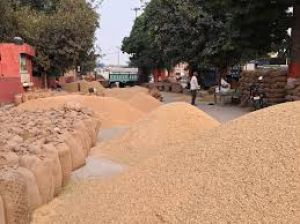 एक करोड़ रुपए से अधिक के धान का गबन, खरीदी केंद्र प्रभारी गिरफ्तार 