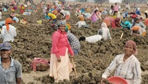  मनरेगा से दुर्ग जिले की 300 ग्राम पंचायतों में निर्माण कार्य प्रारंभ