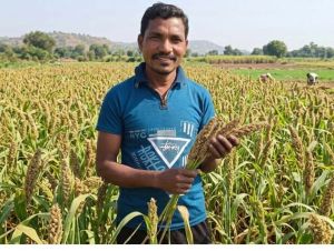 मिलेट से बढ़ी आय, किसानों के जीवन में आई खुशहाली