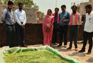 कलेक्टर सिंह ने किया नील-हरित काई उत्पादन टांकों का निरीक्षण कलेक्टर सिंह ने किया नील-हरित काई उत्पादन टांकों का निरीक्षण