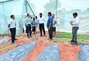 संरक्षित खेती से आर्थिक रूप से सशक्त बने जशपुर के किसान अनारथ साय संरक्षित खेती से आर्थिक रूप से सशक्त बने जशपुर के किसान अनारथ साय