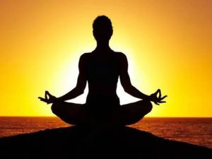 योगा फॉर हेल्दि ऐजिंग&rsquo; थीम के तहत 14 जून 2026 को विशेष ऑनलाईन योग सत्र का आयोजन