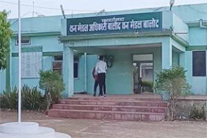 बालोद वनमण्डल क्षेत्र में वृक्षों की अवैध कटाई एवं परिवहन पर की जा रही कार्रवाई
