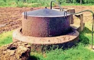  गोबर गैस संयंत्रों के पुनर्जीवन से ग्रामीण ऊर्जा आत्मनिर्भरता को नई गति