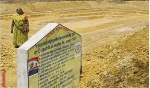  आजीविका डबरी बनी ग्रामीणों की आय का नया आधार
