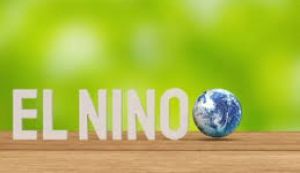  अल-नीनो के संभावित प्रभाव को देखते हुए किसानों के लिए विशेष कृषि सलाह