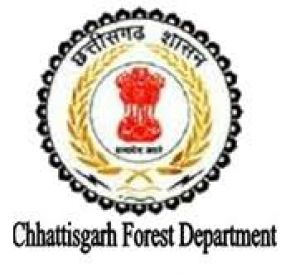  पाटन क्षेत्र में पर्यावरण संरक्षण के प्रति वन विभाग सतर्क, प्राकृतिक रूप से गिरे वृक्ष को सुरक्षित हाथों में सौंपा