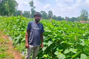 उद्यानिकी विभाग की योजना से बदली कमार कृषक की तकदीर उद्यानिकी विभाग की योजना से बदली कमार कृषक की तकदीर