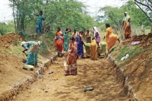 1 जुलाई से लागू होगी वीबी जी राम जी योजना, ग्रामीण क्षेत्रों में उत्साह का माहौल