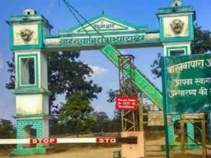  बारनावापारा अभयारण्य वन परिक्षेत्र में मृत 3 चीतल का किया गया पोस्टमार्टम 