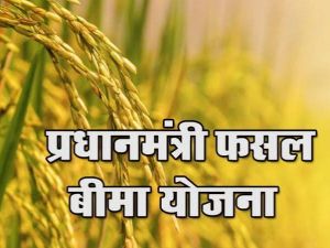 फसलों का बीमा कराने की अंतिम तिथि 31 जुलाई तक