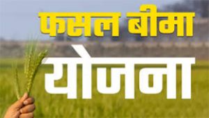  फसल बीमा योजना अंतर्गत चयनित उद्यानिकी फसलों का बीमा करने की अंतिम तिथि 31 जुलाई