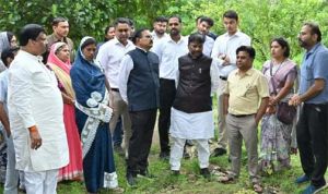  धमतरी जिले में 200 एकड़ से बढ़ाकर 600 एकड़ तक औषधीय खेती के विस्तार का लक्ष्य