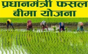  जिले के किसान 31 जुलाई तक करा सकेंगे उद्यानिकी फसलों का बीमा