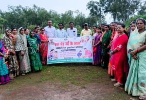 गुरूर विकासखंड में विकसित भारत-जीरामजी, बिहान और एसबीएम की 34,394 महिला हितग्राहियों ने किया वृहद वृक्षारोपण