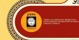  21 अगस्त को धमतरी में सजेगा &lsquo;जनजातीय कारीगर एम्पैनलमेंट मेला&rsquo;