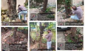  प्रोजेक्ट पुनर्जीवन अंतर्गत कांक्रीट के घेरों पेवर को हटाने अभियान