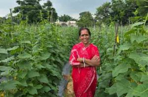  बिहान से बहनों को मिला आर्थिक संबल, खीरे की खेती से सुभद्रा मंडल ने लिखी आत्मनिर्भरता की नई कहानी