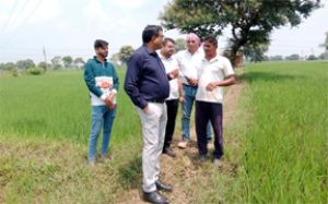  संयुक्त आयुक्त भूअभिलेख ने दुर्ग में डीसीएस के कार्यों का किया निरीक्षण