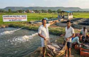 प्रधानमंत्री मत्स्य संपदा योजना से बदली किसानों की किस्मत 