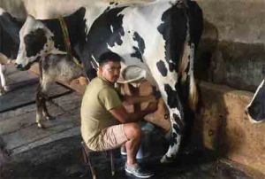 उन्नत नस्ल सुधार और आधुनिक पशुपालन से बदली परदेशी की किस्मत