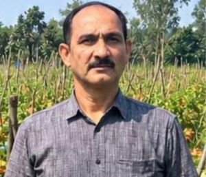  उन्नत टमाटर की खेती से शाहिद की मेहनत लाई रंग, 2 एकड़ में कमाए 1.20 लाख रुपये