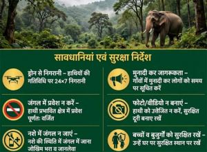 हाथी प्रभावित क्षेत्रों में ग्रामीणों की सुरक्षा के लिए वन विभाग अलर्ट, ड्रोन से की जा रही निगरानी हाथी प्रभावित क्षेत्रों में ग्रामीणों की सुरक्षा के लिए वन विभाग अलर्ट, ड्रोन से की जा रही निगरानी