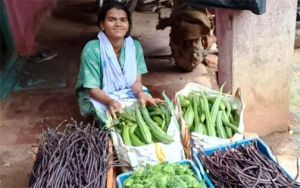 इरिकपाल की फूलमती दीदी ने आधुनिक खेती से रचा नया इतिहास इरिकपाल की फूलमती दीदी ने आधुनिक खेती से रचा नया इतिहास