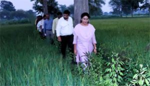  खेतों के बीच पहुंचीं कलेक्टर दिव्या उमेश मिश्रा